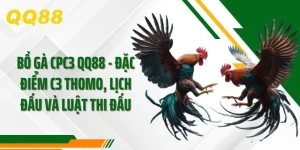 Bồ Gà CPC3 QQ88 Đặc Điểm C3 Thomo, Lịch Đấu Và Luật Thi Đấu