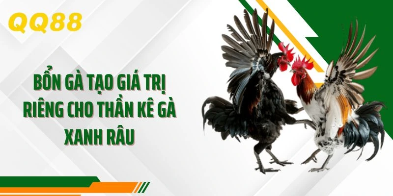 Bổn gà tạo giá trị riêng cho thần kê gà xanh râu