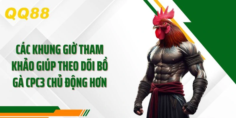 Các khung giờ tham khảo giúp theo dõi bồ gà CPC3 chủ động hơn