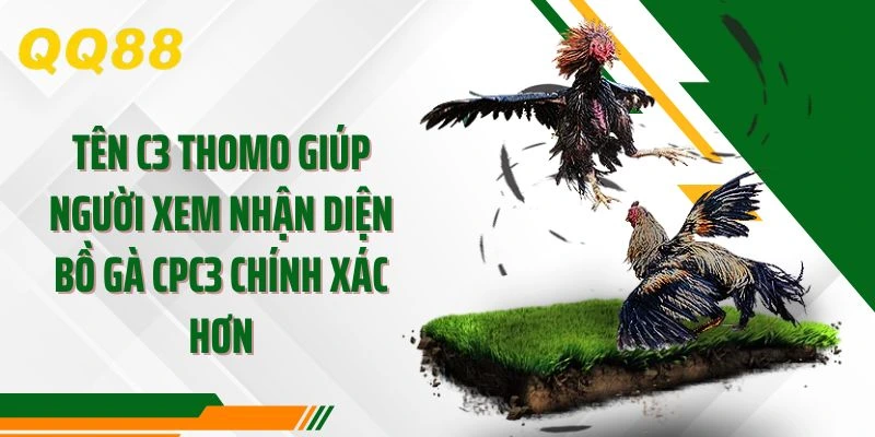 Tên C3 Thomo giúp người xem nhận diện bồ gà CPC3 chính xác hơn